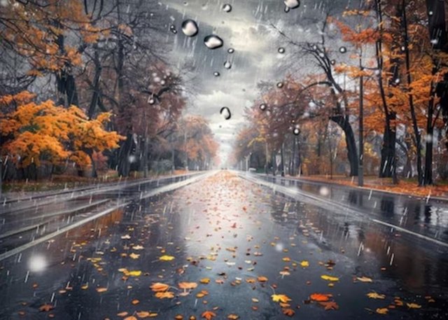 صورة ٤