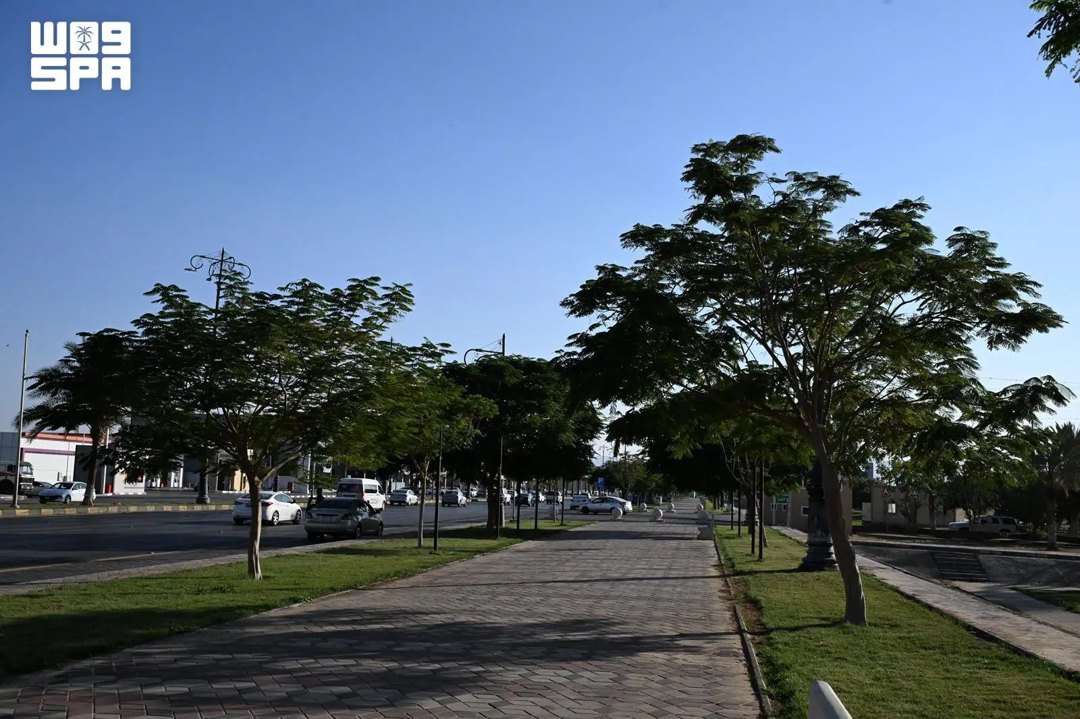 صورة ٣