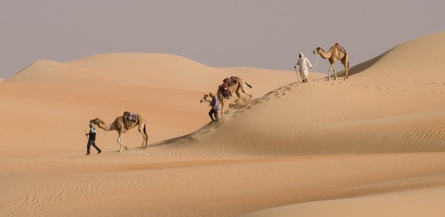 صورة ٣