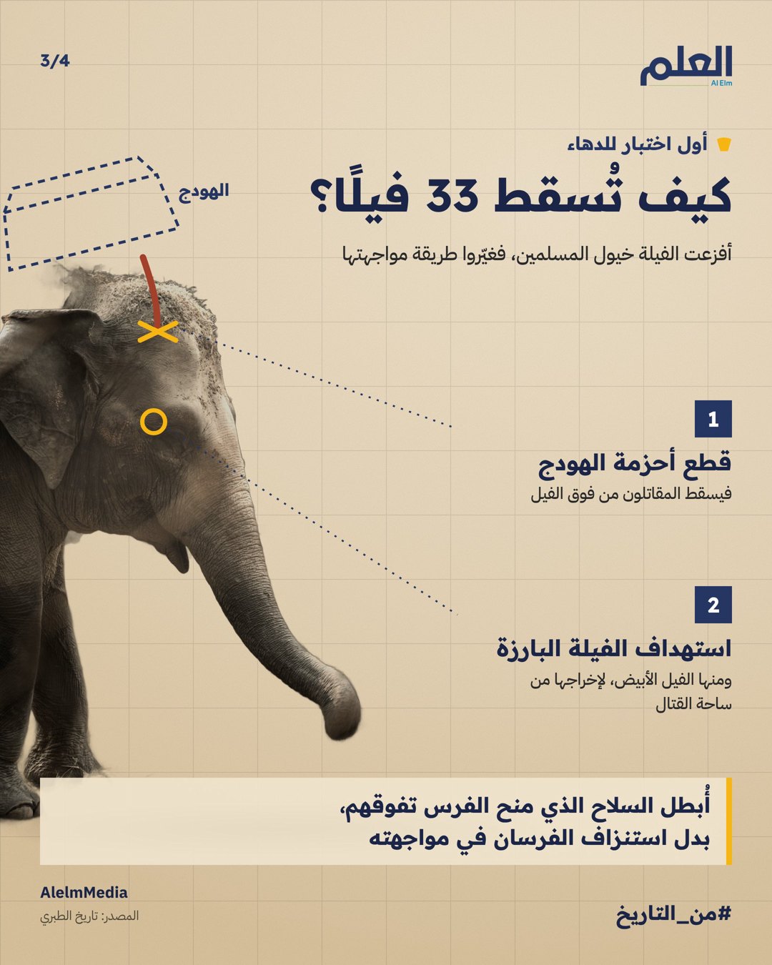 صورة ٢