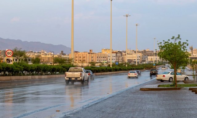 صورة ٢