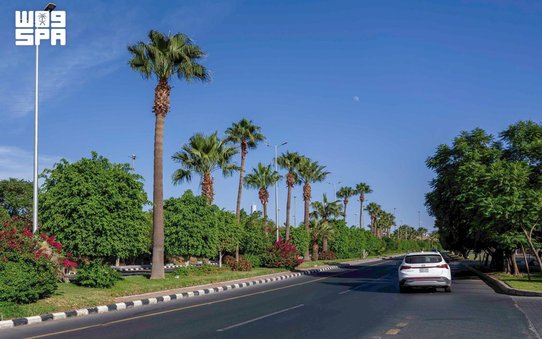 صورة ٧