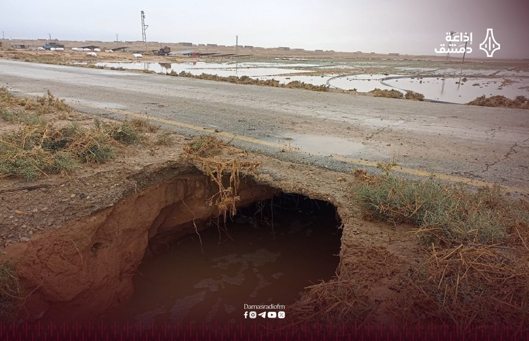 صورة ٤