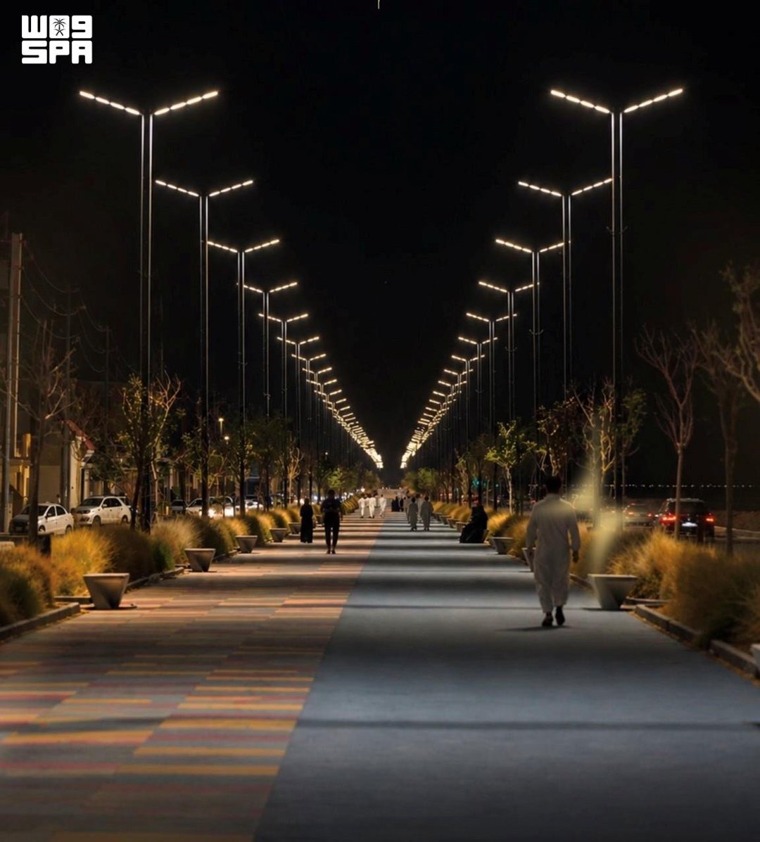 صورة ٢