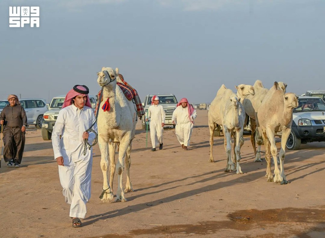 صورة ٥