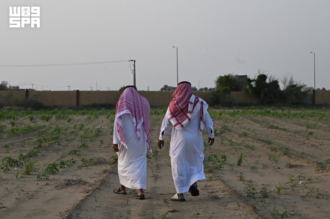 صورة ٣
