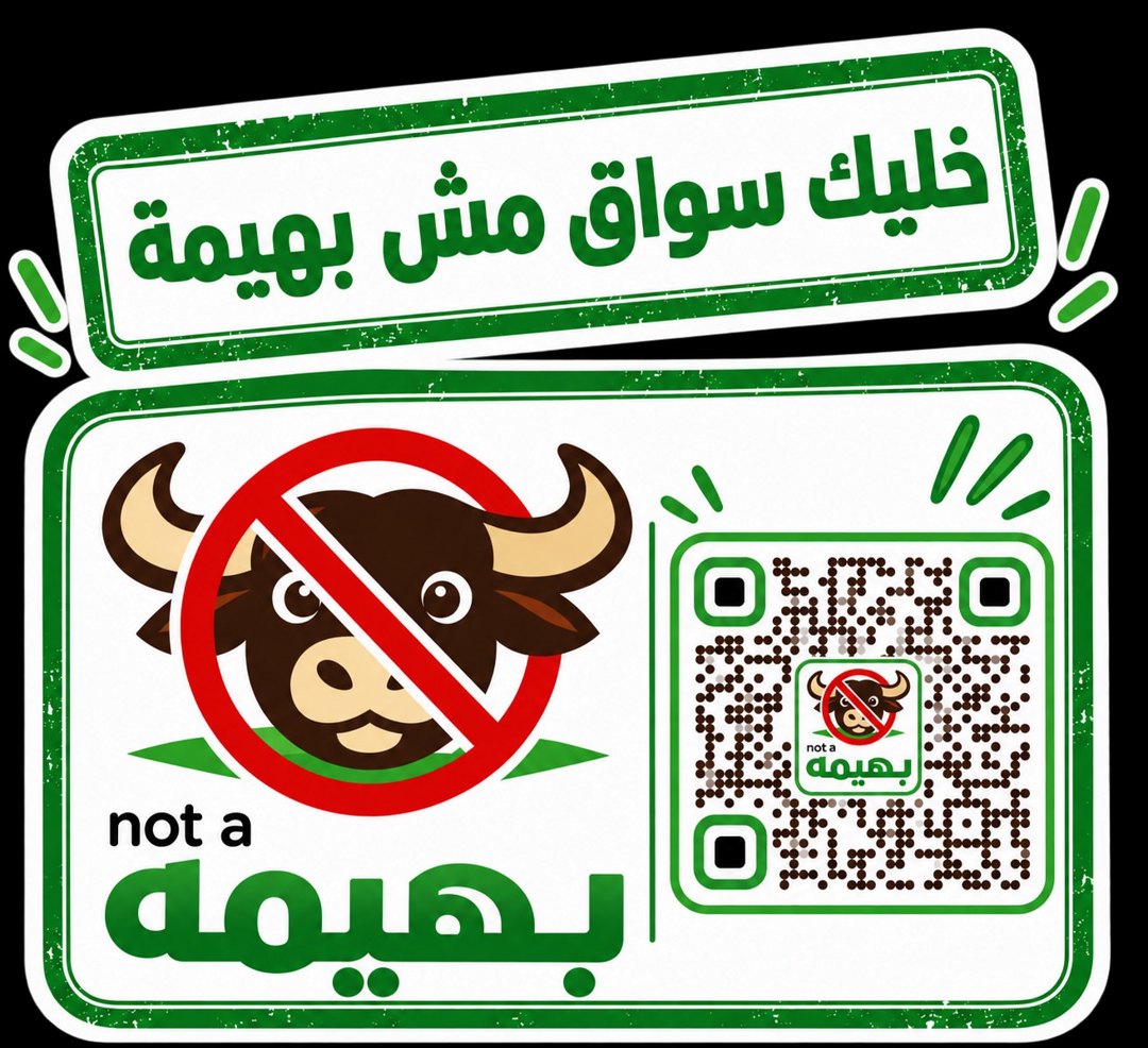 صورة ٣