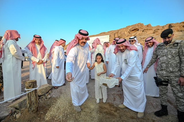 صورة ٢