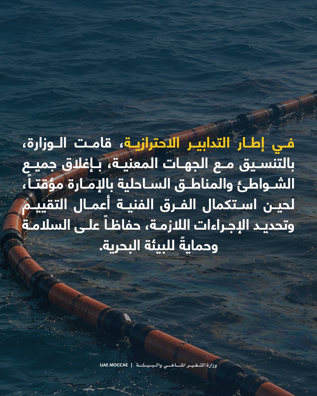 صورة ٢