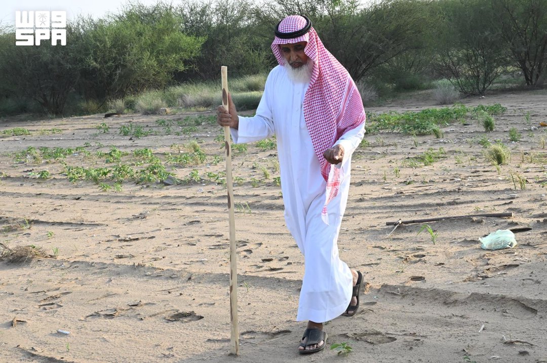 صورة ٢