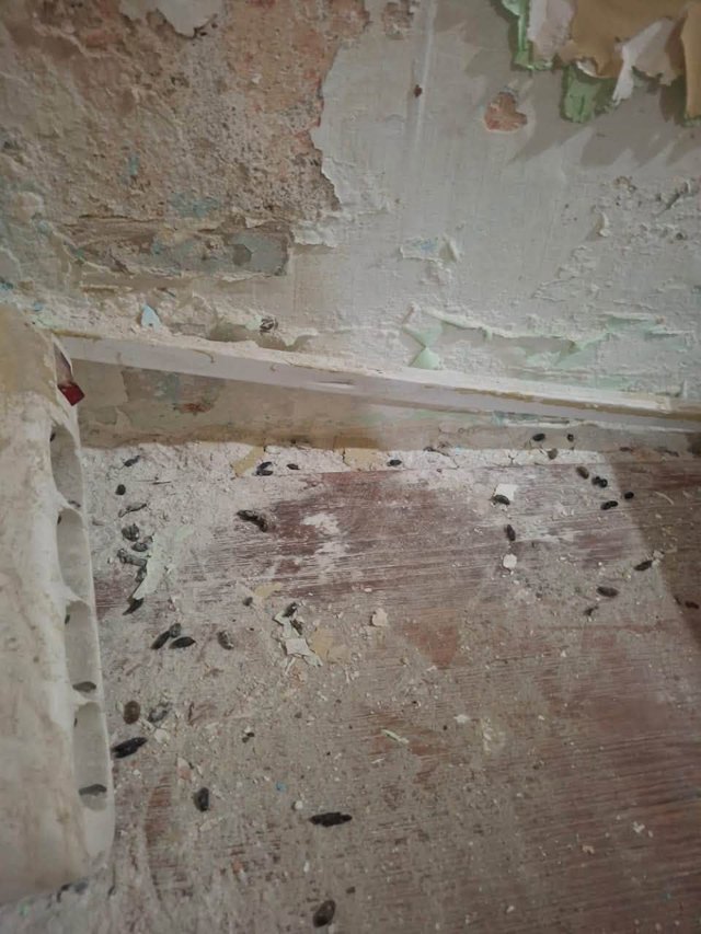 صورة ٢