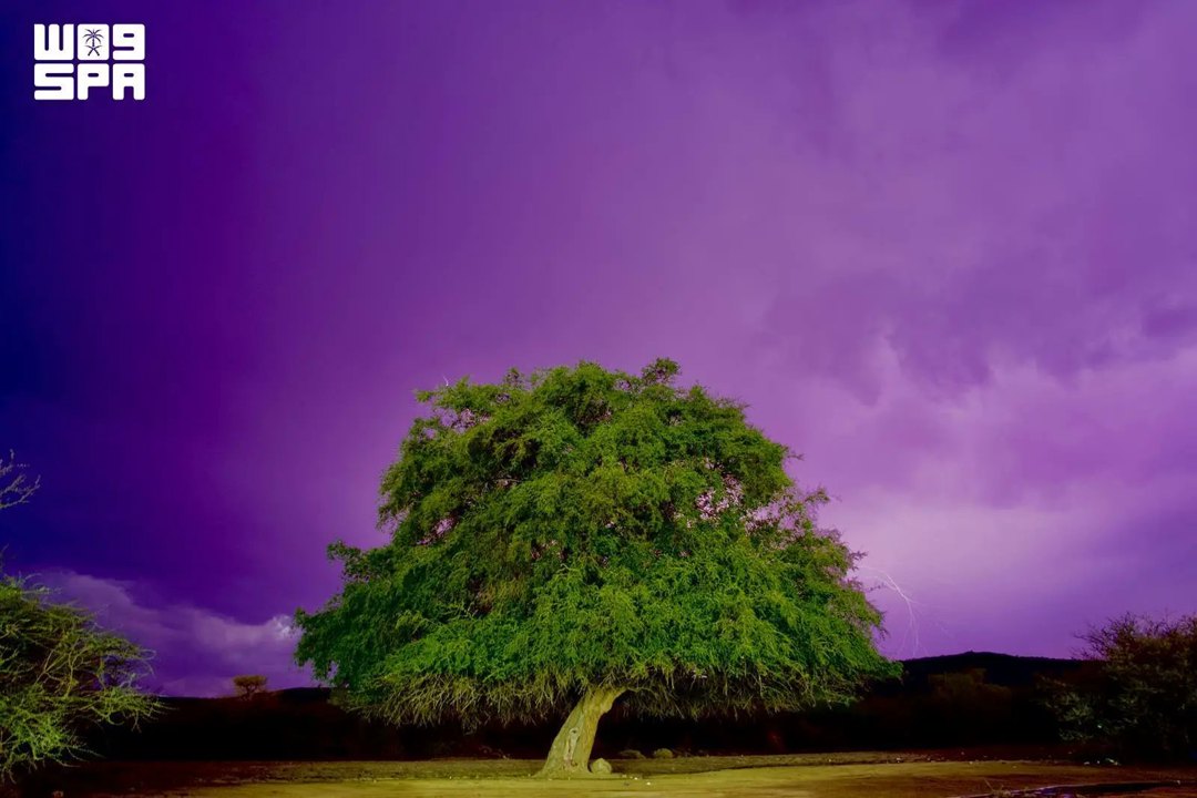 صورة ٣