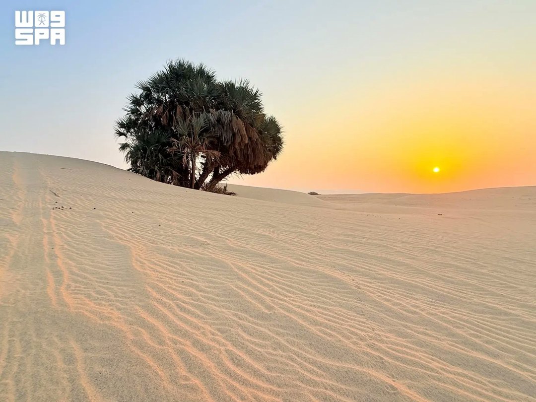 صورة ٣