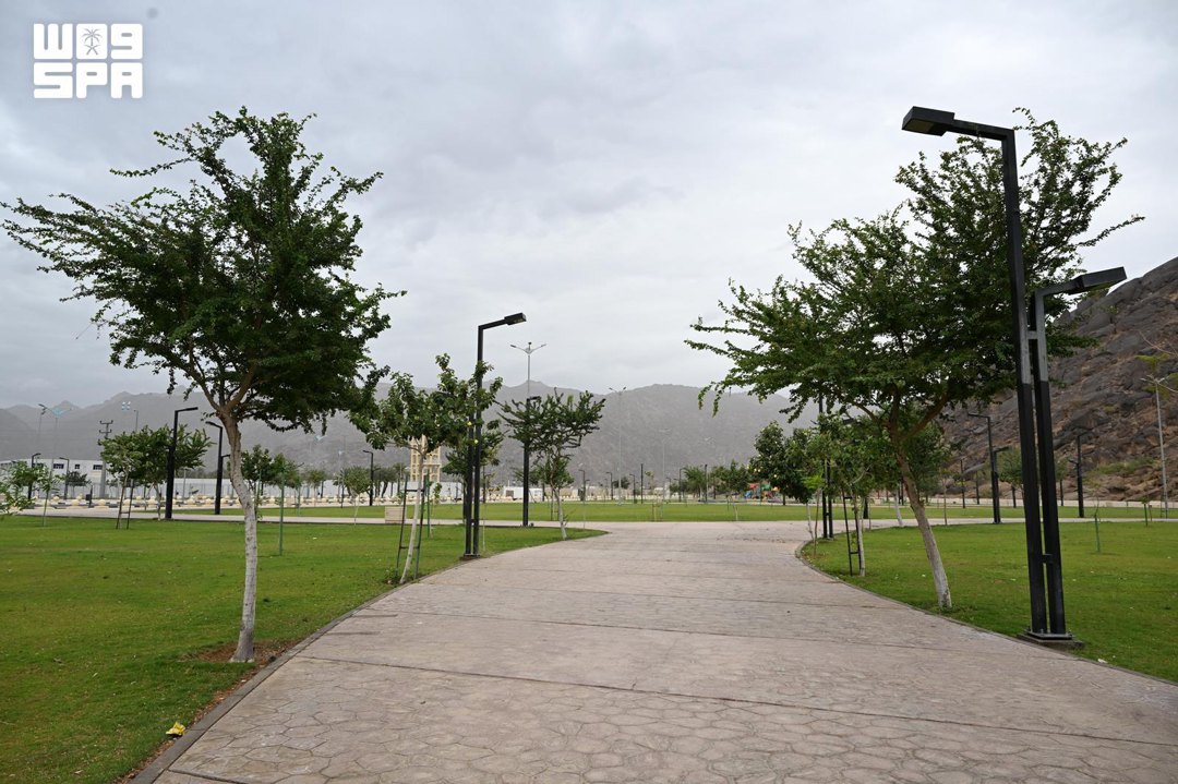 صورة ١١