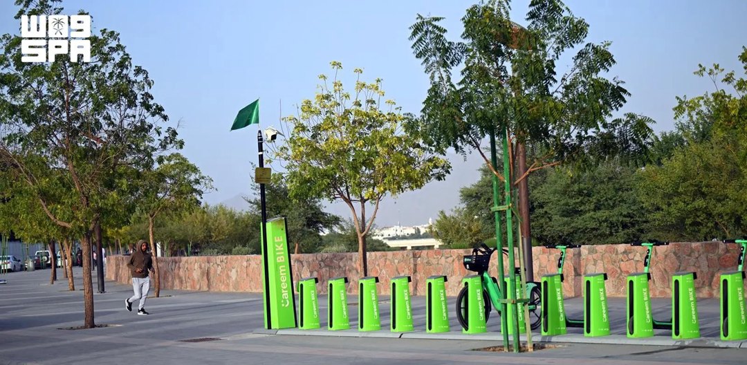 صورة ٣