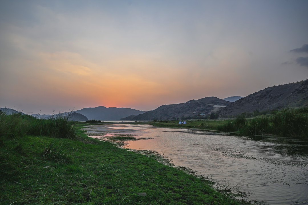 صورة ٣