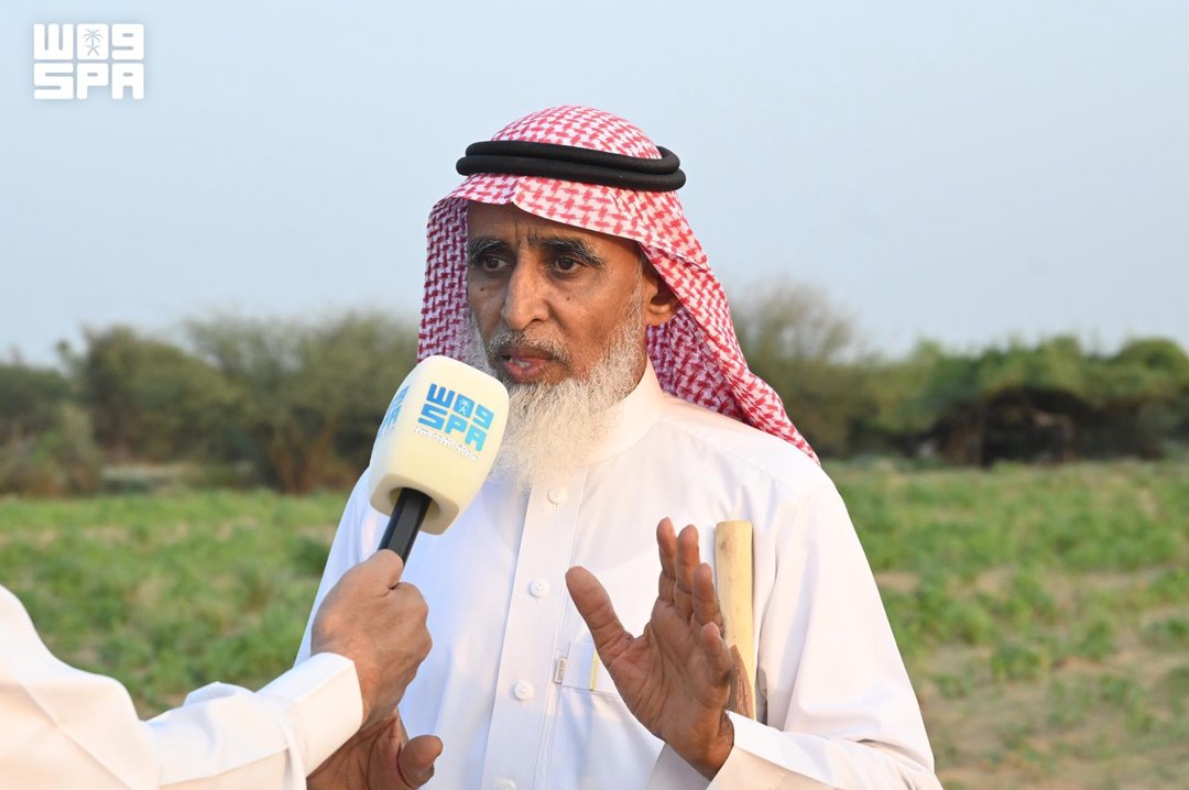 صورة ٥