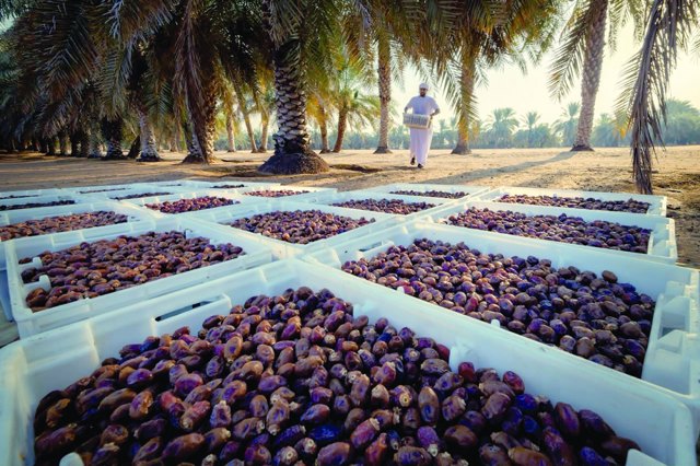 صورة ٢