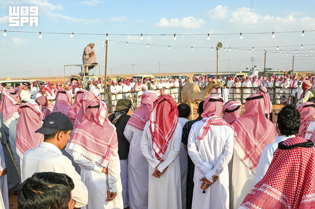 صورة ٢
