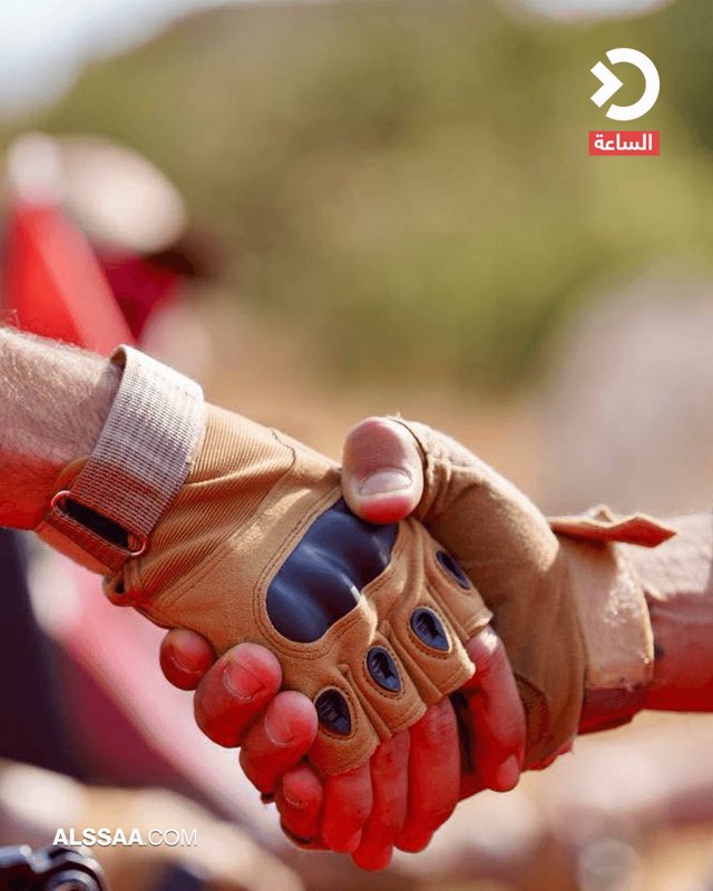 صورة ٣