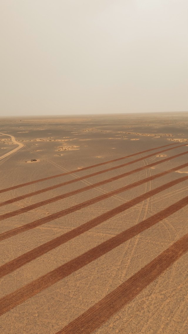 صورة ٣