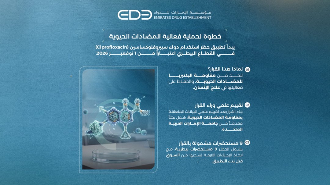 صورة ١٢