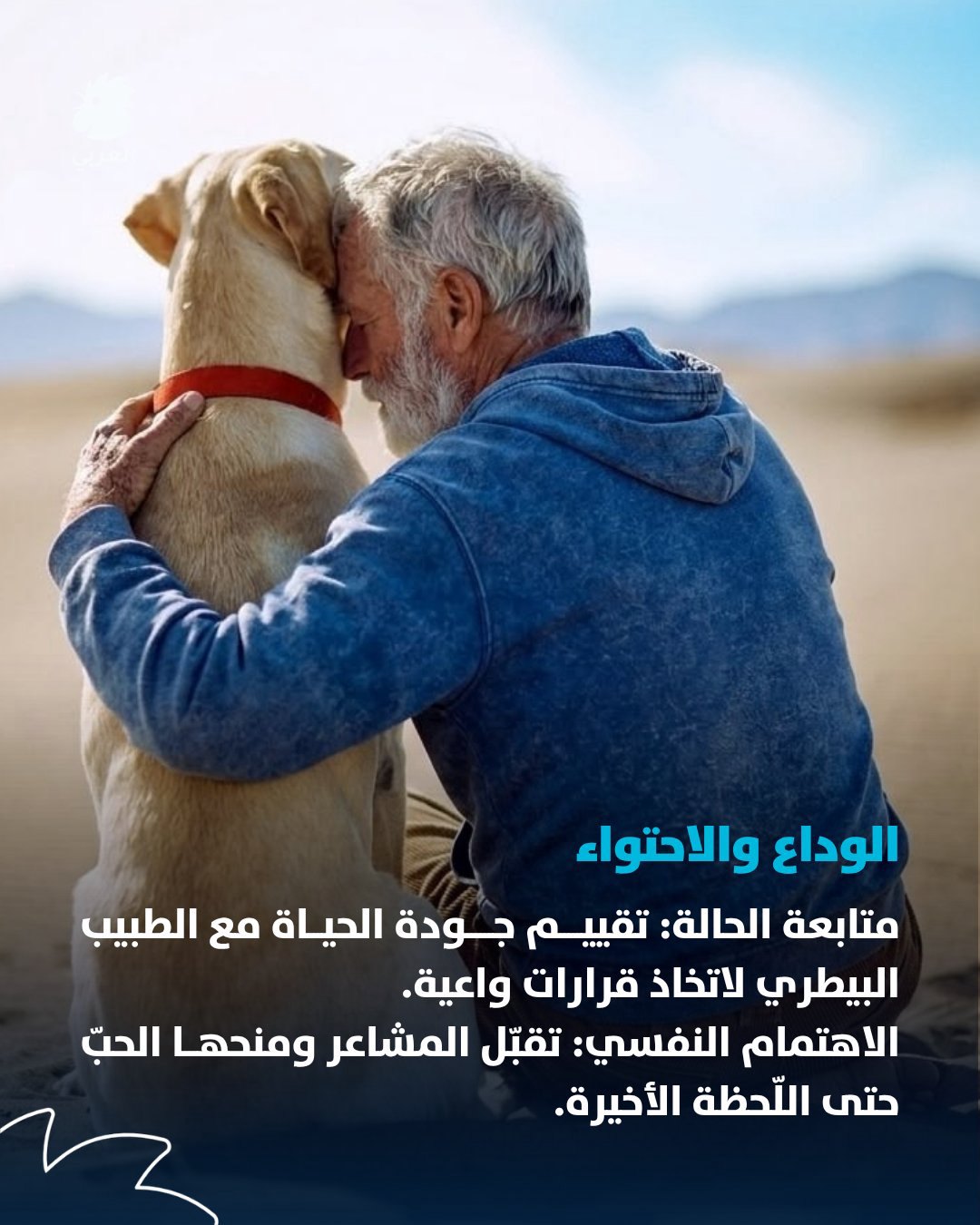 صورة ٤