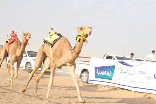 صورة ٧