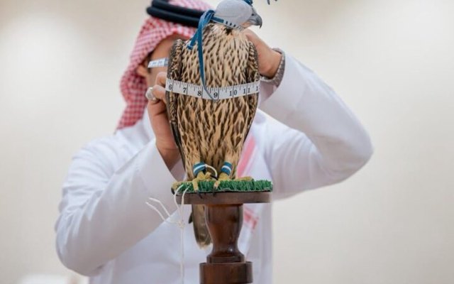 صورة ٤