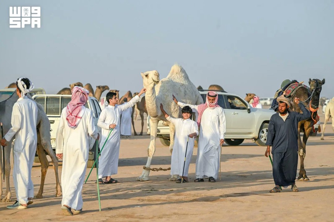 صورة ٧