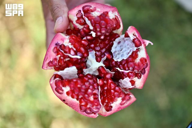 صورة ٣