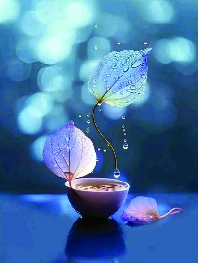 صورة ٥