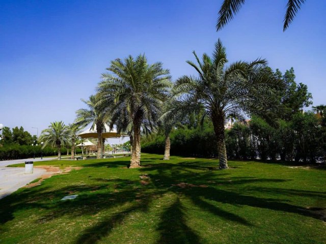 صورة ٤
