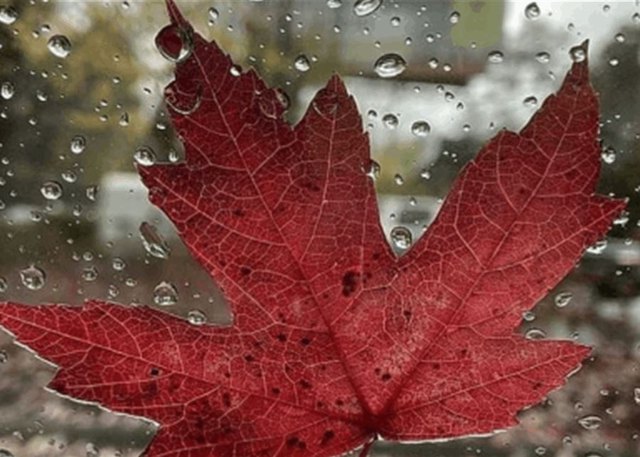 صورة ٤