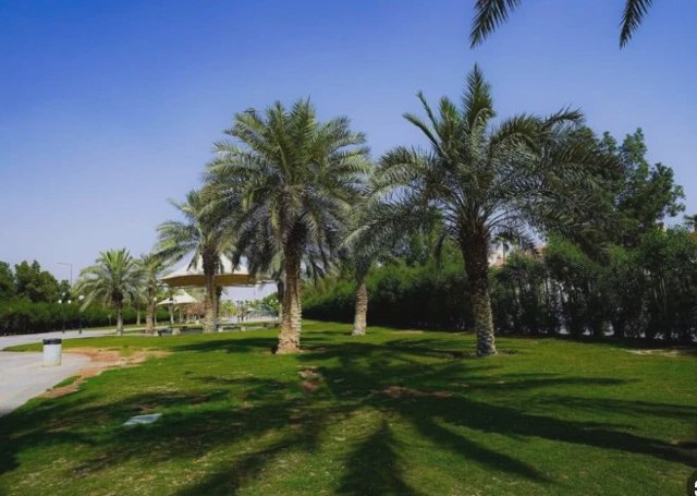 صورة ٢