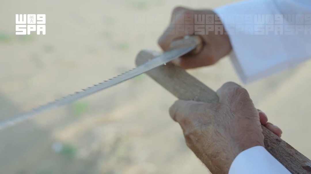 صورة ٦