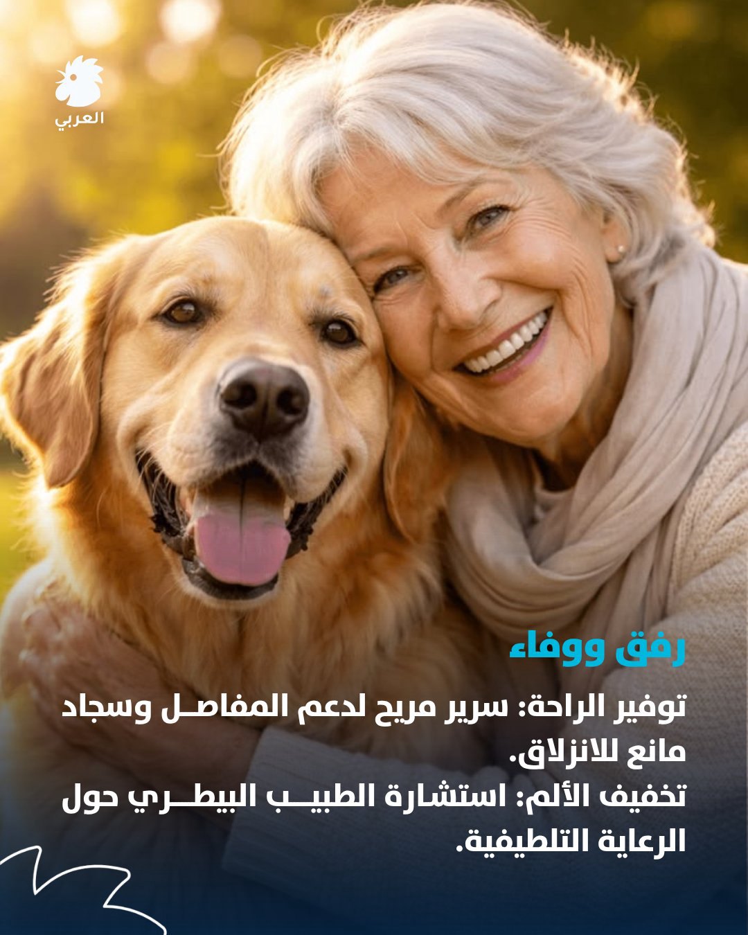 صورة ٢