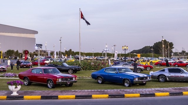 صورة ٢
