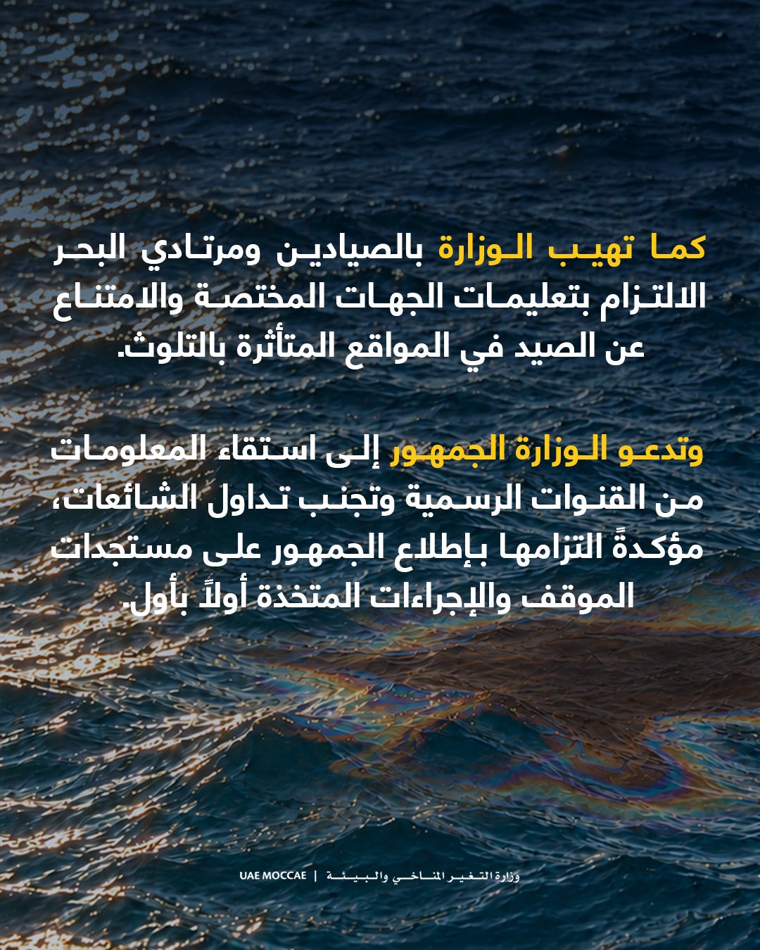 صورة ٣
