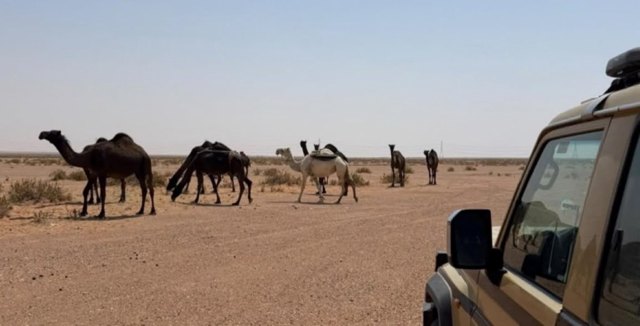 صورة ٢