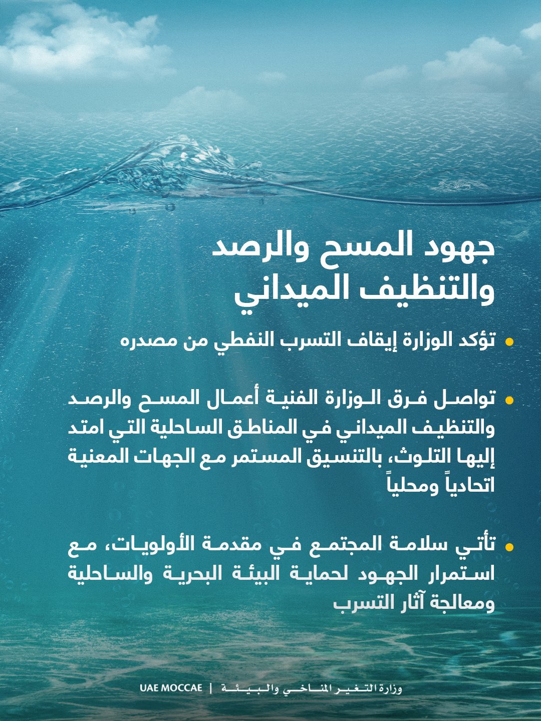 صورة ٢