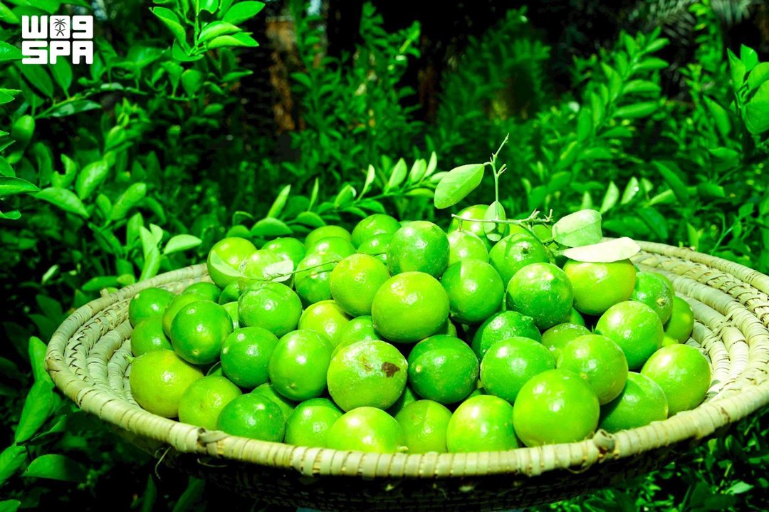 صورة ٧
