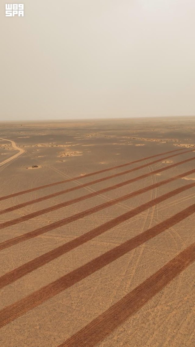صورة ٢