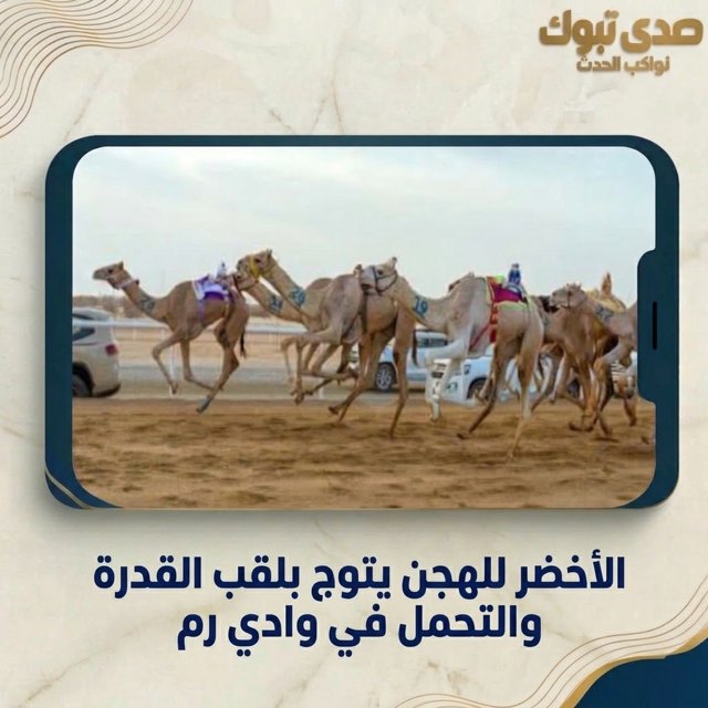 صورة ٣