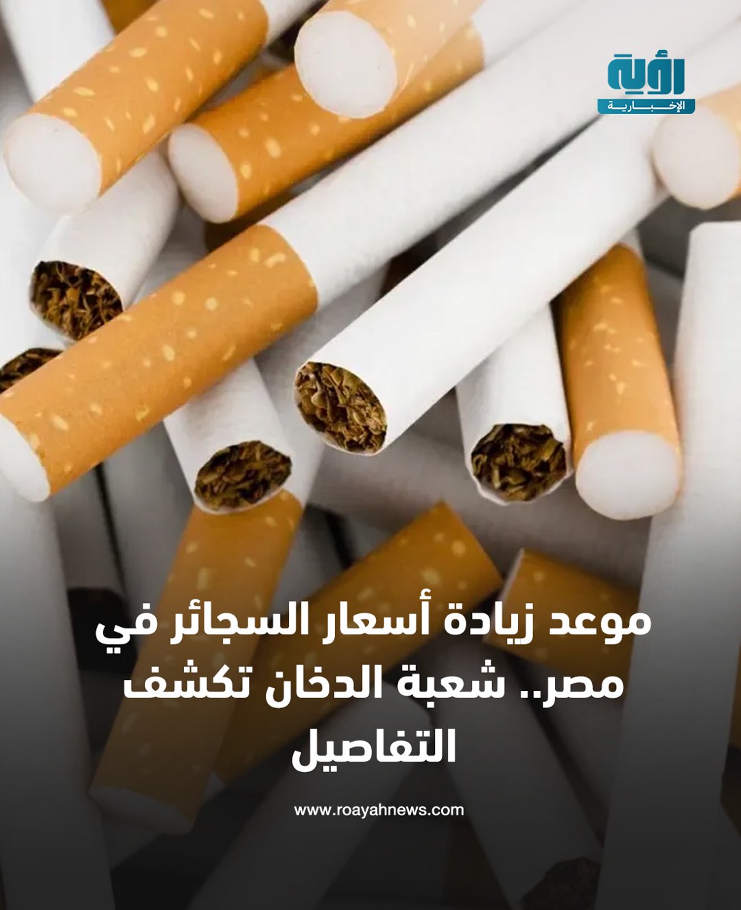 صورة ٣