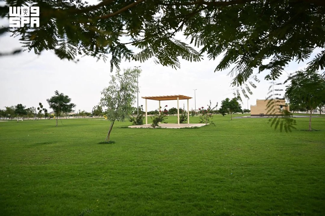 صورة ٦