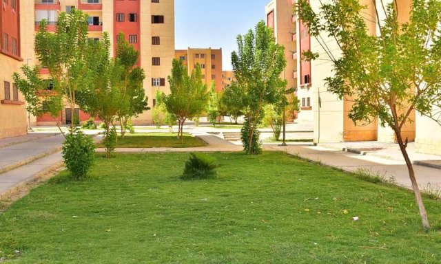 صورة ٢