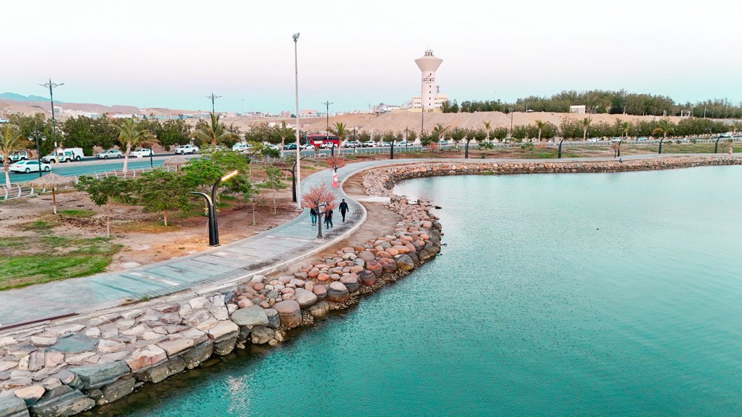 صورة ٤