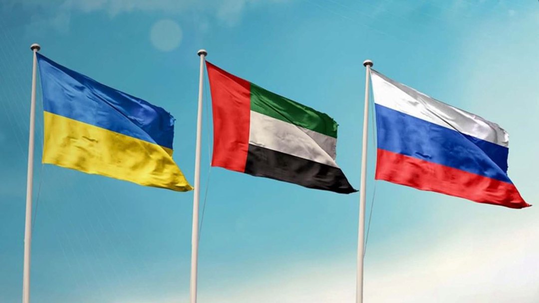 صورة ١١
