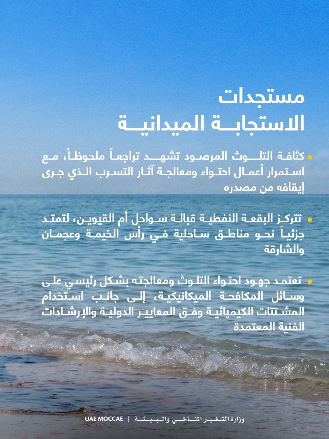 صورة ٣